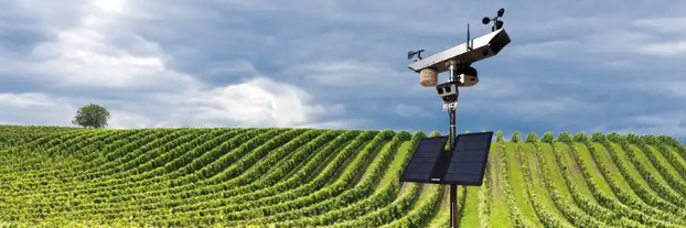 利来w66(中国区)_来利国际旗舰