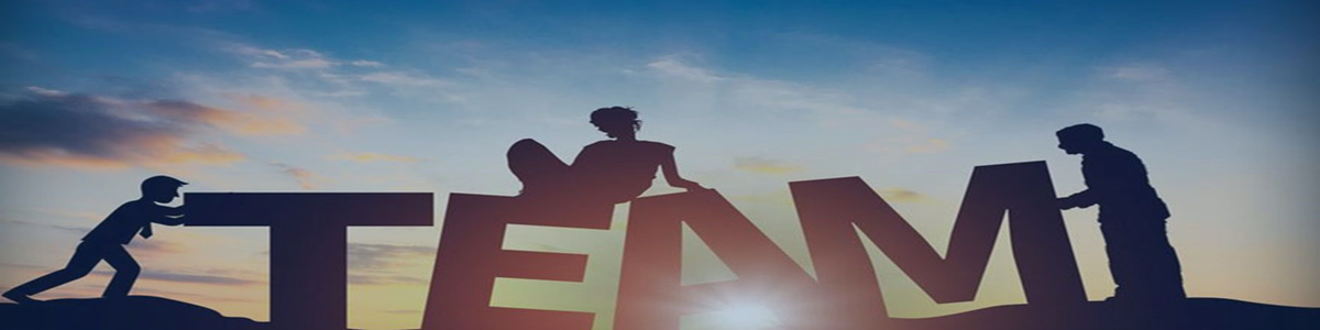 利来w66咨询团队