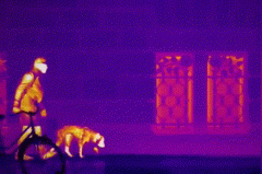 必发集团(股份)有限公司-官方网站